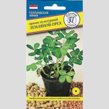 Арахис культурный (земляной орех)