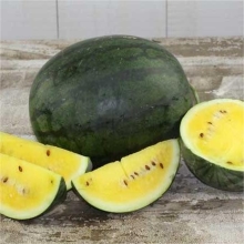 Арбуз Астраханский желтый