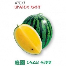 Арбуз Оранж Кинг F1