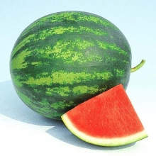 Арбуз Подарок Северу F1