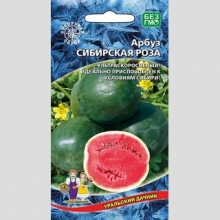Арбуз Сибирская Роза