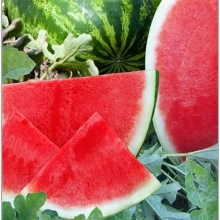 Арбуз Тонга F1 (бессемянный)