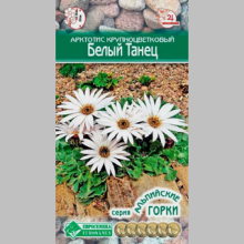 Арктотис Белый танец