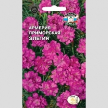 Армерия Элегия (приморская, смесь)