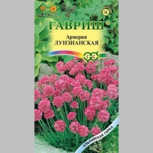 Армерия Луизианская (приморская)