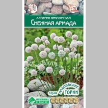 Армерия Снежная армада (приморская)