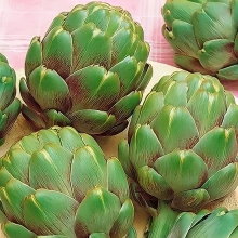 Артишок Султан