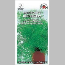 Аспарагус Шпренгера