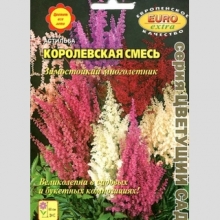 Астильба Королевская смесь