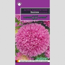 Астра Баллон Розовый