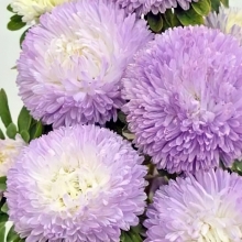 Астра Баллон Серебристо-голубой