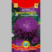 Астра Башня Фиолет