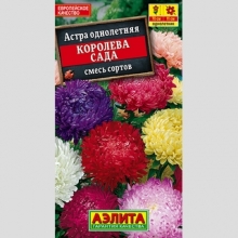 Астра Королева сада смесь