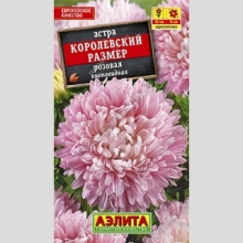 Астра Королевский размер Розовая