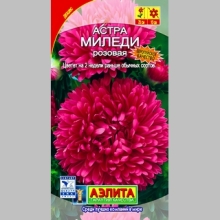 Астра Миледи розовая