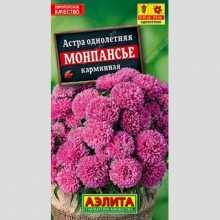 Астра Монпансье Карминная