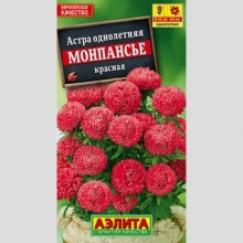Астра Монпансье Красная