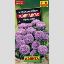 Астра Монпансье Серебристая