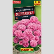 Астра Монпансье Розовая