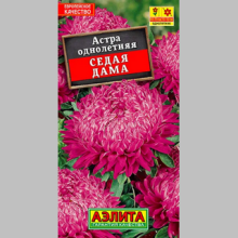 Астра Седая дама