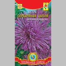 Астра Серебряная цапля