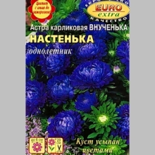 Астра Внученька Настенька