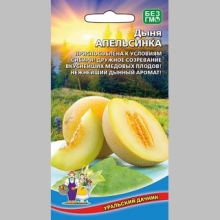 Дыня Апельсинка