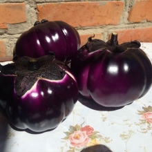 Баклажан И-Стар F1