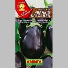 Баклажан Черный красавец