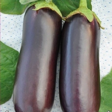 Баклажан Диамант F1