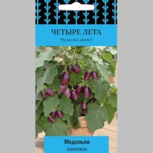 Баклажан Медальон (Четыре лета)