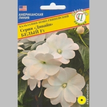 Бальзамин Дивайн Белый F1 новогвинейский