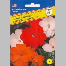 Бальзамин Дивайн Смесь Салса F1 новогвинейский