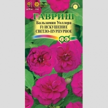 Бальзамин Искушение светло-пурпурное F1