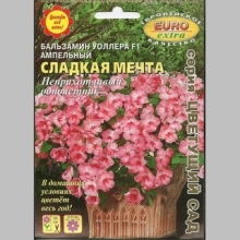 Бальзамин Сладкая мечта F1 (ампельный)