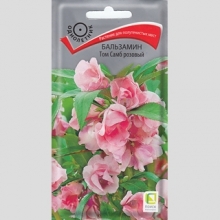 Бальзамин Том Самб Розовый