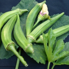 Бамия Клемсон