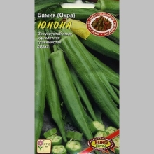 Бамия Юнона