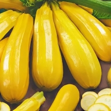 Кабачок Бананы на Грядке F1