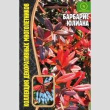 Барбарис Юлиана (большой пакет)