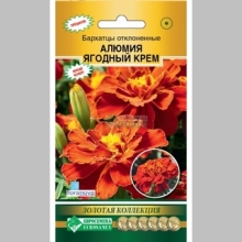 Бархатцы Алюмия Ягодный Крем