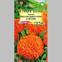 Бархатцы Гавайи