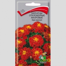 Бархатцы Аура Красная