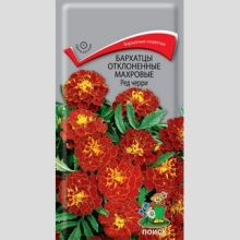Бархатцы Ред Черри