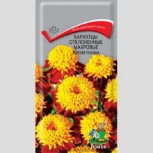 Бархатцы Жёлтая головка