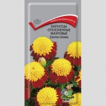 Бархатцы Золотая головка