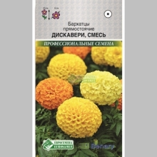 Бархатцы Дискавери смесь
