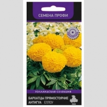 Бархатцы Антигуа F1 Еллоу