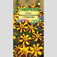 Бархатцы Стриптиз