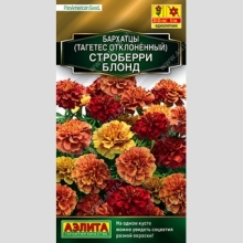 Бархатцы Строберри блонд